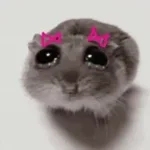 HamsterViolin
