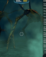 Duster Me and the Birds (best part looped)