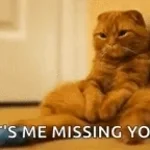 did i tell you that i miss you