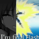 FINAL FLASH!!!