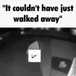 i just get so nervy nobrainjames - Sound