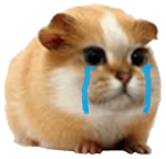 K Style Song Of Storm