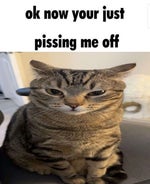 FNAF 1 Freddy Jumpscare