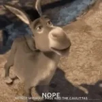 burro burro incompetente