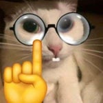 I just lost my dog original reverb