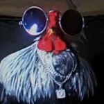 jun pin FAAAAAAAAHHHHHHHHHHHHHHH