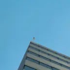 skibidi toilet will be mine