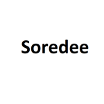 soredee [vocals]