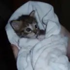 my fit is fantasticcc