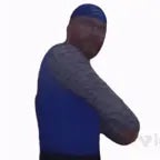 HAISTA VITTU (teimo)