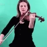 Stupid Bee Playing Violin