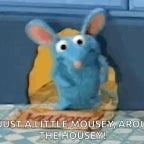 Recording 09/10/25 22:31:29