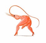 Regular Show Rigby Sending Stuff To The Moon