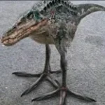 ASSASSIN drinking water