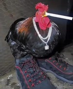 All My Fellas (Slowed/ TikTok Version)