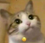 3 ĆELAVI MAJMUN (REMIX) [KRIM TIM 2]