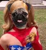 Not The Bore Worms - Sound