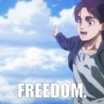 Freedom AOT