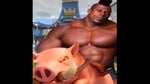 HOG RIDER NAGERS
