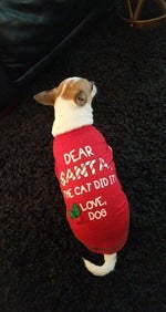 This is a good group of boys