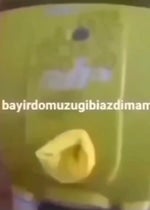 Bayır domuzu gibi azdım - Sound