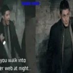 spider web of cheese (copy)