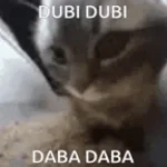 CHIPI CHIPI CHAPA CHAPA DUBI DUBI AWOO AWOO