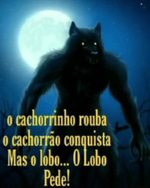 o lobo pede