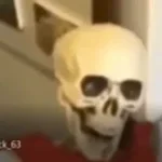 papyrus cooking hotdogs