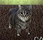 u i i a CAT (It’s Just a Burning Memory)