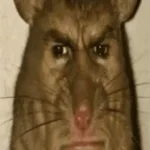 itt van a lecsó séf