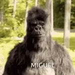 miguel