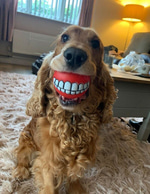 goofy ah laugh