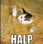 come get some crunchy boy