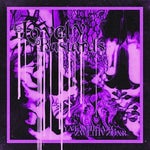 Lovely bastards edit music