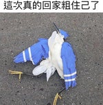 你们好啊，我是贝利亚 我要来破坏地球了 奥特曼们都被我打败了 你们敢不敢来阻止我？ 胆小鬼都划走了 哔哩哔哩 bilibili - Sound