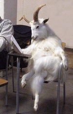 ¡¡¡¡VAS A CAGAR!!!! Barbakahn