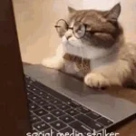 i stalk your socials 2x