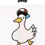 Danse comme un canard