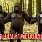 la jungle des animaux