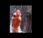 iiiiiiiiiiiiiiiiiiiiiiii kkk