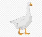 Blazo Reflecting Purple