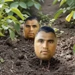 we drink soda we eat pizza