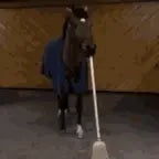 Barriendo sin escoba