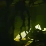 Bacteria Sprouting 2