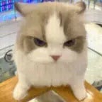 Why did he hit every beat - Sound