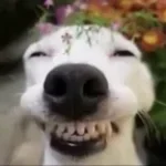 a smile and a ribbon