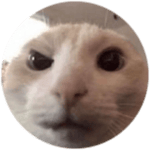 Jojo's Bizarre Adventure：cmoon