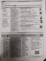 WhatsApp Audio - Sound