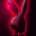 I Found You Playmate